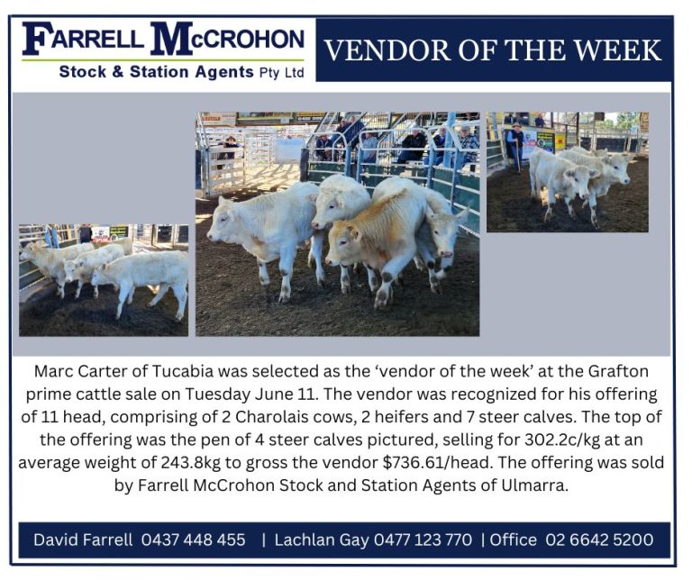 Market Reports Farrell McCrohon