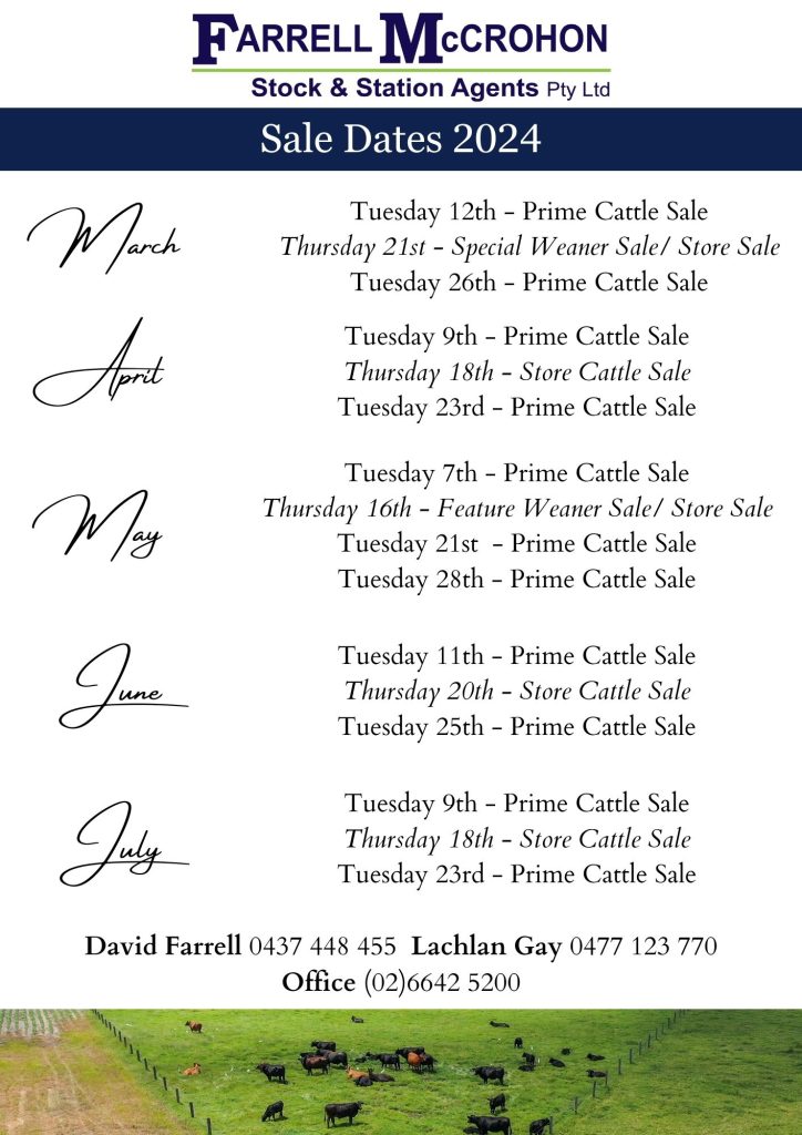 Special Store Sale Dates Farrell McCrohon