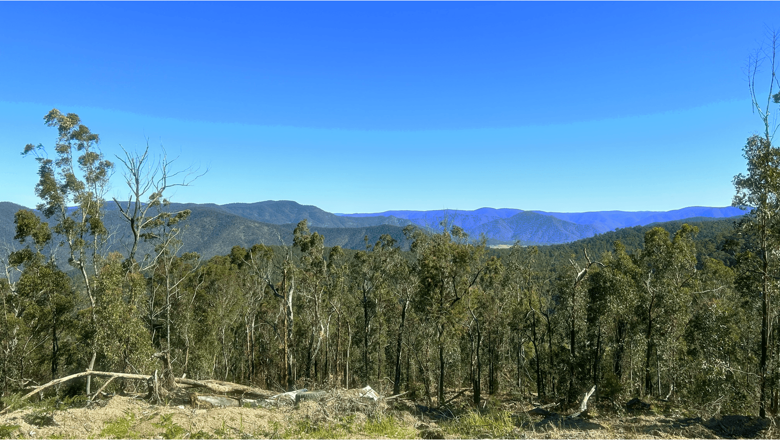 2533 Blacksmith Shop Rd, Newton Boyd Farrell McCrohon