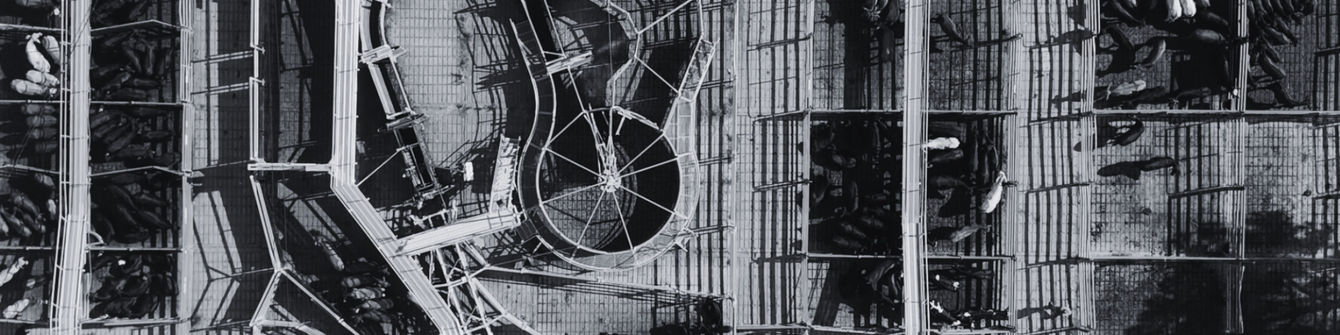 BW SALEYARDS BIRDSEYE VIEW