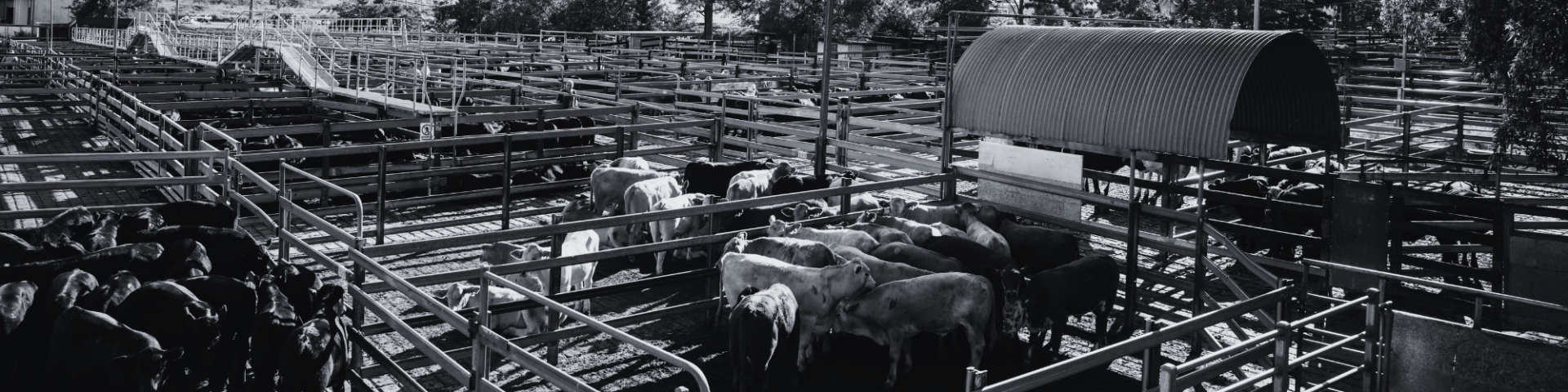 FACEBOOK COVER OPTIONPHOTOS (1)