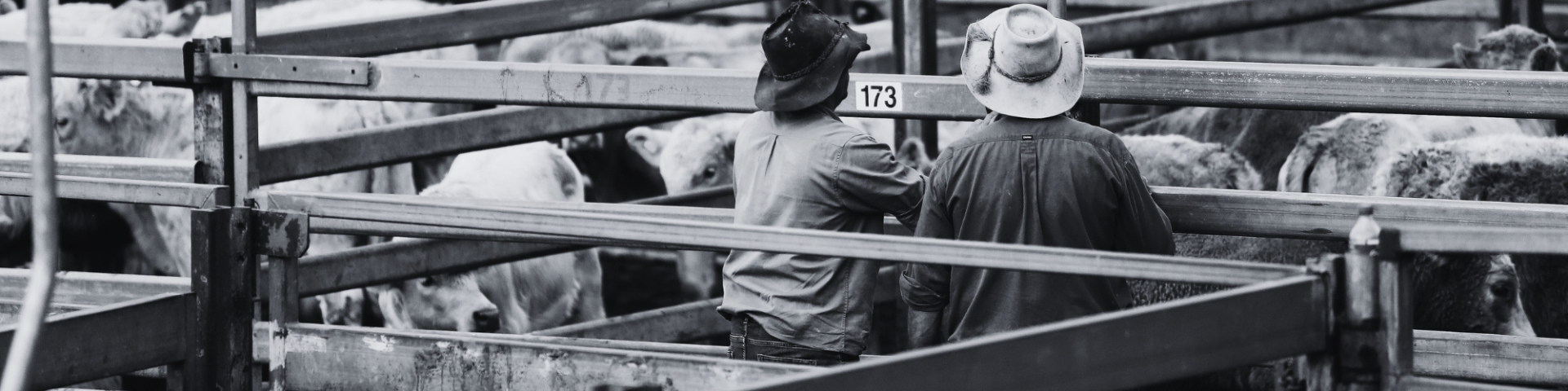 FACEBOOK COVER OPTIONPHOTOS